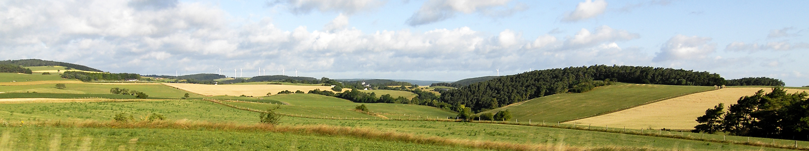 Blick in Landschaft mit Feldern und Hügeln ©Feuerbach